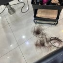 현하윤 헤어라인 | 경성대 미용실 현하윤 헤어라인 결혼 준비 뿌리 염색 후기