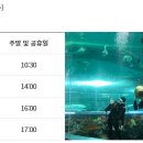 현대해양수족관 이미지