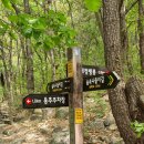 숲속나들이길 이미지