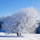 계절에 어울리는 테이블 꽃장식 이미지