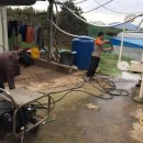 노안농장 이미지