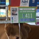 강원축산 네이버블로그