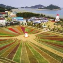 송림원 민박 | 전남신안 임자도, 튤립 꽃밭에 &#39;심쿵&#39;하는 봄을 영접하라!