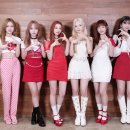 펀치