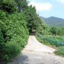 완월동106 이미지