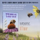 [책읽는곰] 최고의 작가들이 함께 만든 최고의 논픽션 그림책 《꿀벌 아피스의 놀라운 35일》 이미지