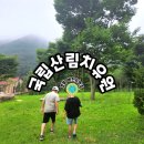 희방민박 | 경북 영주 풍기/예천곤충생태원 근처 숙소-국립산림치유원 주치마을 수련센터 후기
