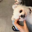 장싸롱