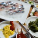 다섯손가락 | 제주도 애월 고등어회 맛집 해변횟집 가성비갑 찐추천후기