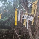 진주서부농협 상봉하나로 | 보현지맥 8구간(질마재~비로재) 19.7km