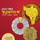 황금 이미지