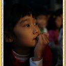 양강초교 이미지