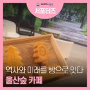 농소1동 주민자치 사회적협동조합 | 역사와 미래를 빵으로 잇는 울산숲 카페