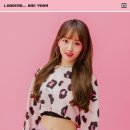 FNC 엔터테인먼트 카카오 검색결과