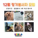 🎄 12월 정기봉사자 모집 🎄 이미지