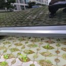 카니발무도장 이미지