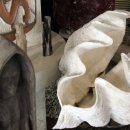 펄레스토랑 이미지