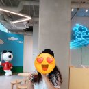 [23.06.30.]부산여행 5일차, 초량밀면, 동백상회, 스누피플레이스 방문 후기!!