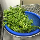 법이네 야채가게 이미지