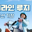 스카이라인루지통영 주식회사 이미지