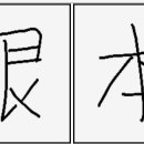 뿌리근