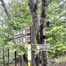 월명1길 이미지