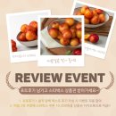 와촌 농장 | 하우스 대석 자두 300g 구매 솔직후기