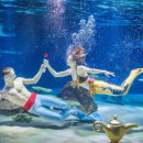 아쿠아플라넷63 이미지