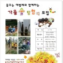꿈꾸는애벌레자연놀이학교 이미지