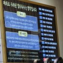 대보 | 마곡나루역 생활의달인 칼국수 맛집, 달인대보칼국수 본점 원조칼국수 후기