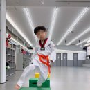 푸르미르 태권도장 이미지