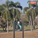 대가야시장2(대장간 옆) | 태국 카오차녹CC 골프장 시설후기 2025년 2월말