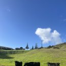 푸르른 농장 | 36 - 아보카도 농장에서 있던 일들!