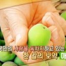 여름 식중독에 좋은 음식 (매실 액기스,매실액 효능) 이미지