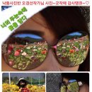 맛고을등갈비 이미지