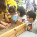 통고산자연휴양림 이미지