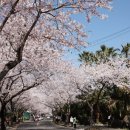 예래동사무소 이미지