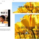 메인컴 이미지