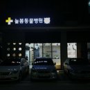 늘봄동물병원 네이버블로그
