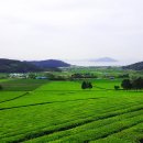 현기농장 이미지