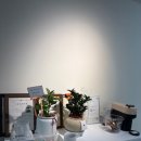 포시즌상동