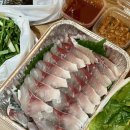 남양수산 - 남동구 장도로 86-17 | 남양수산