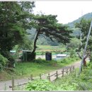 동천교 남쪽 티스토리