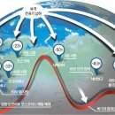 지구시장한국학교 중앙일보