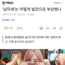 ‘남미새’는 어떻게 빌런으로 부상했나 이미지