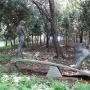 반추된 힘 이미지