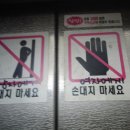 개미음악학원 이미지