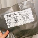 [2021.08.19 - 08.31] 𝟮𝟬𝟮𝟭 여름 그 끝자락, 매미울음은 진행형!