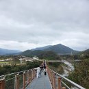 한탄강Y 출렁다리 이미지