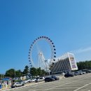 항아리 | 속초맛집 속초가면 꼭 먹어야할 물회맛집 속초항아리물회 내돈내산 후기